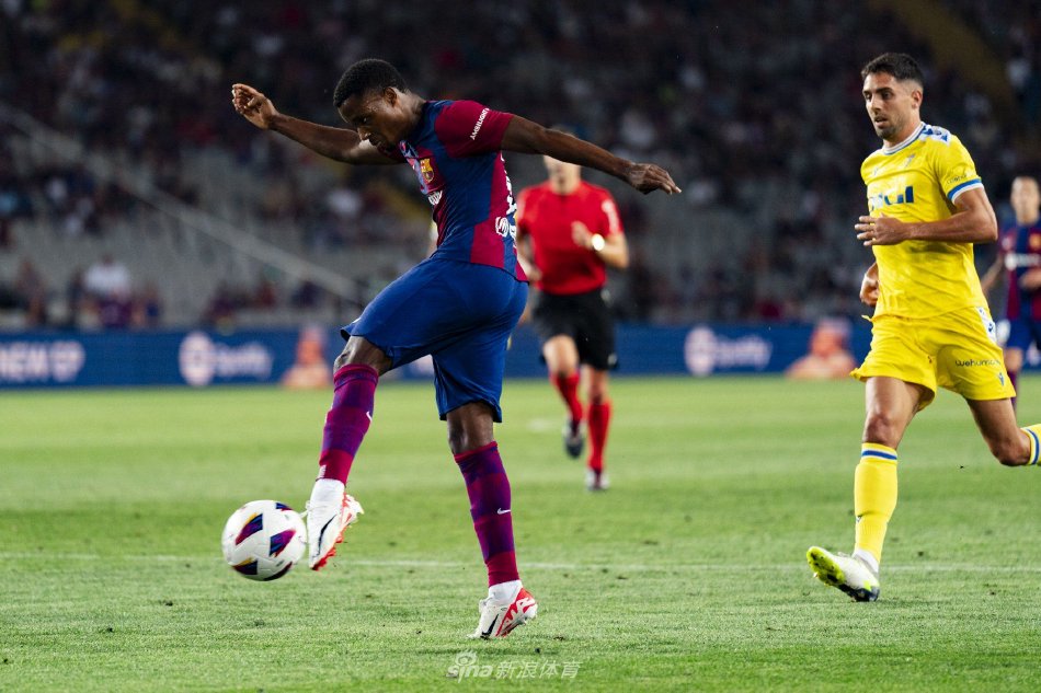 的新晋球员 的新晋球员